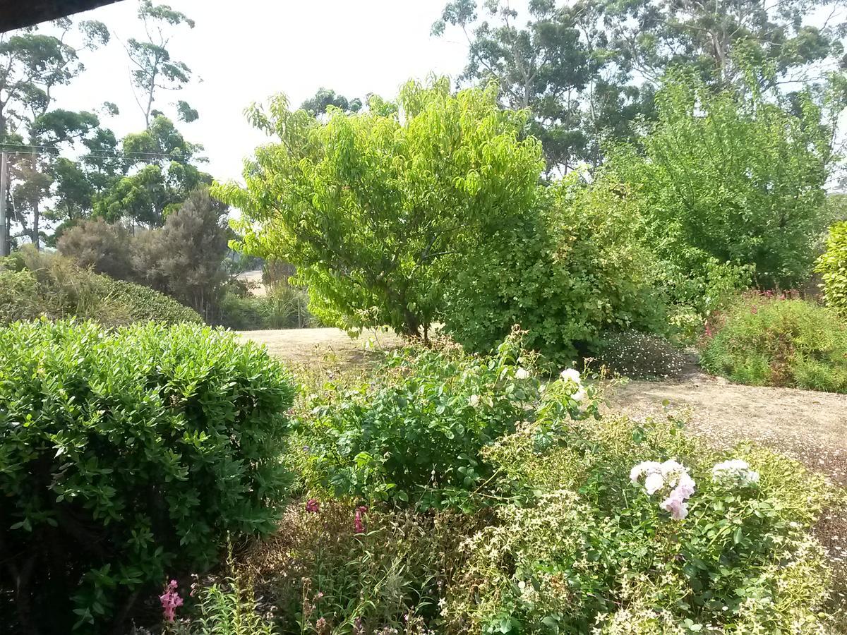 Eagle'S Roost Farmstay B&B Rocky Cape Экстерьер фото