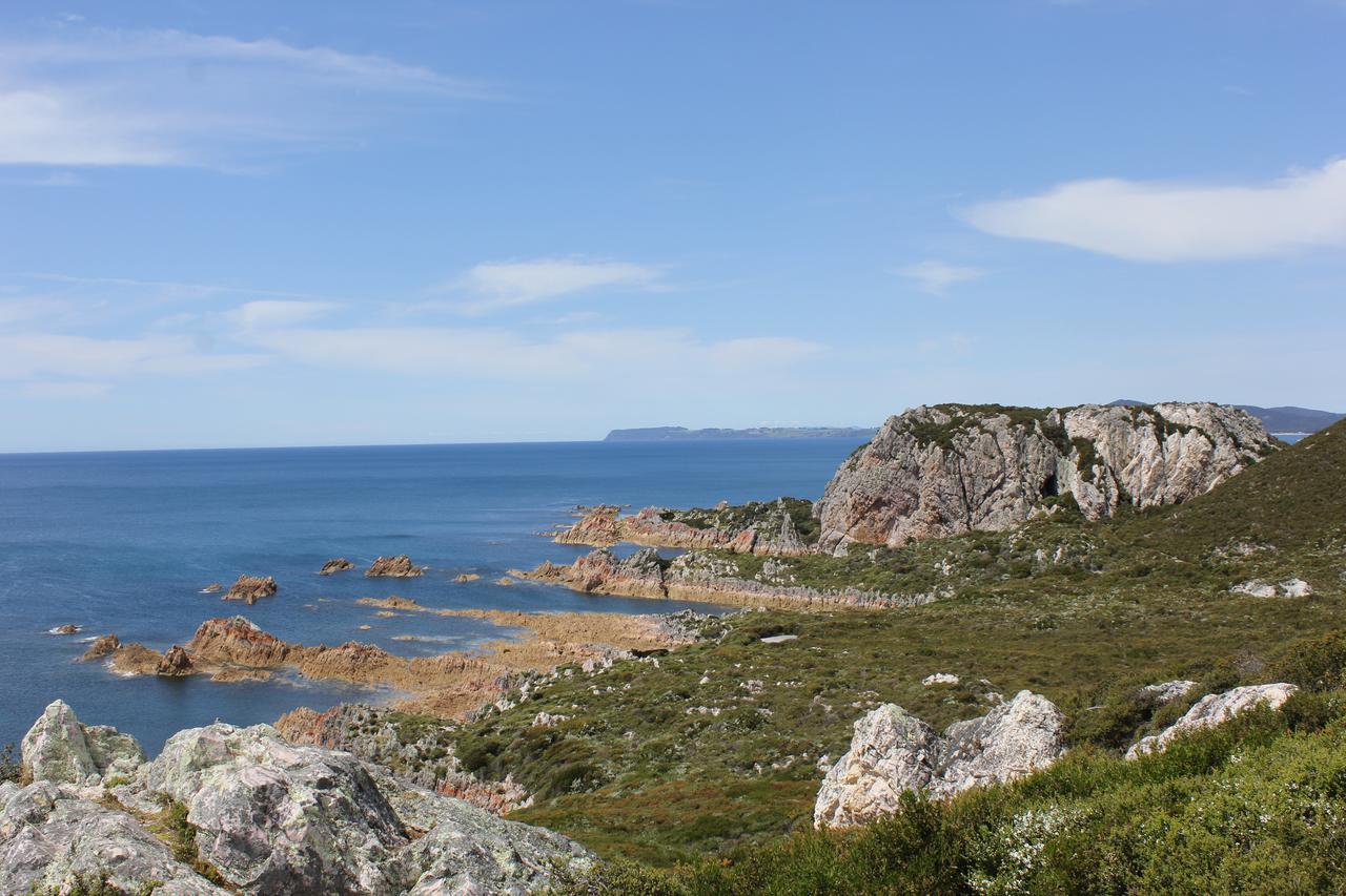 Eagle'S Roost Farmstay B&B Rocky Cape Экстерьер фото